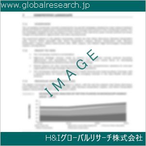 グローバルリサーチ調査資料のイメージ